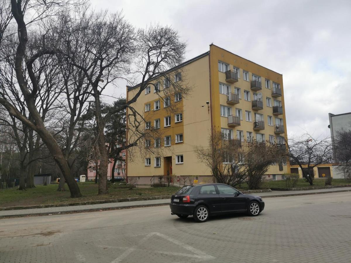 Mieszkanie Brzezno Przy Plazy Gdańsk Exteriör bild
